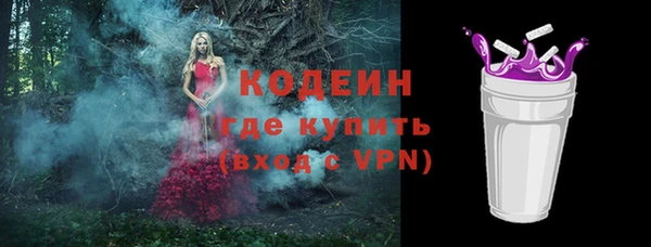 мдпв Новозыбков
