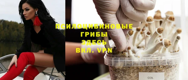 дмт Нягань
