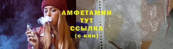 хмурый Няндома