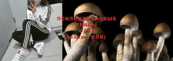 хмурый Няндома
