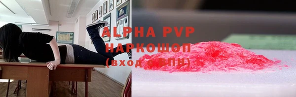 хмурый Няндома