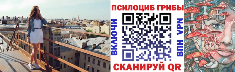 Псилоцибиновые грибы Cubensis  Нефтекумск 