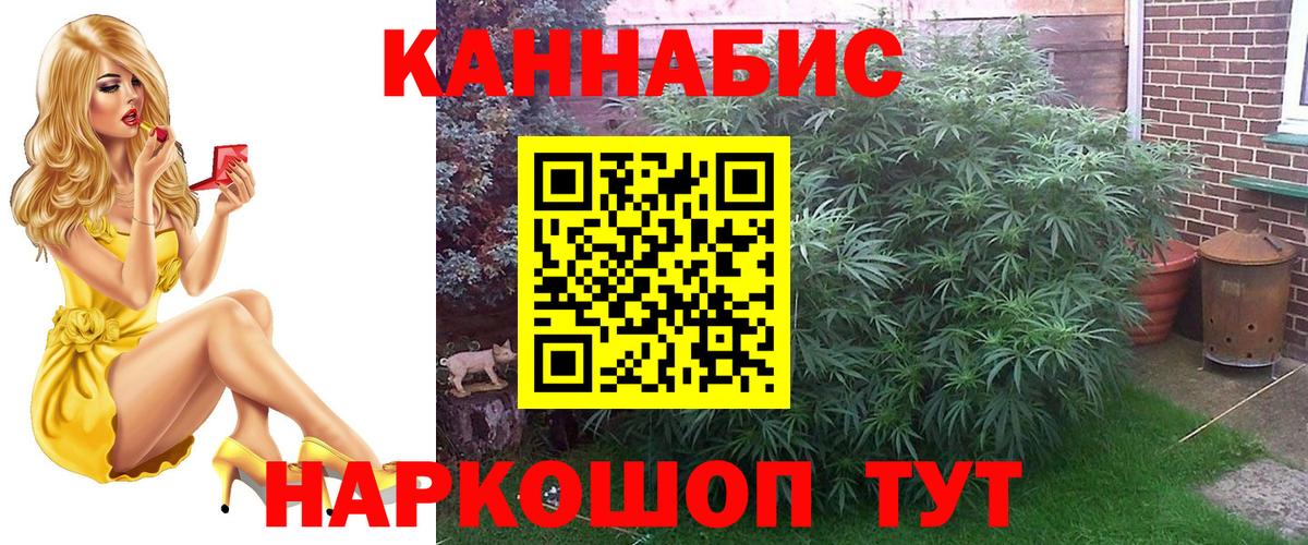 Марихуана MAZAR Нефтекумск